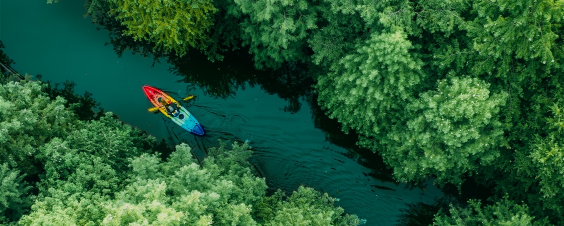 World-Class Eco-Island Chongming Marks Biological Diversity Day