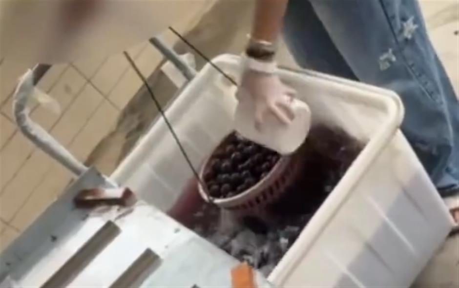 Crackdown in Zhangzhou: 5 Detained, 540 kg of Tainted Waxberries Seized After Additive Scandal