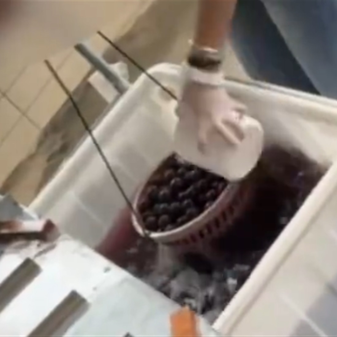 Crackdown in Zhangzhou: 5 Detained, 540 kg of Tainted Waxberries Seized After Additive Scandal