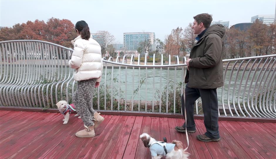 [A City for All] Paws in the City: How Shanghai Is Redefining Pet-Friendly Urban Life