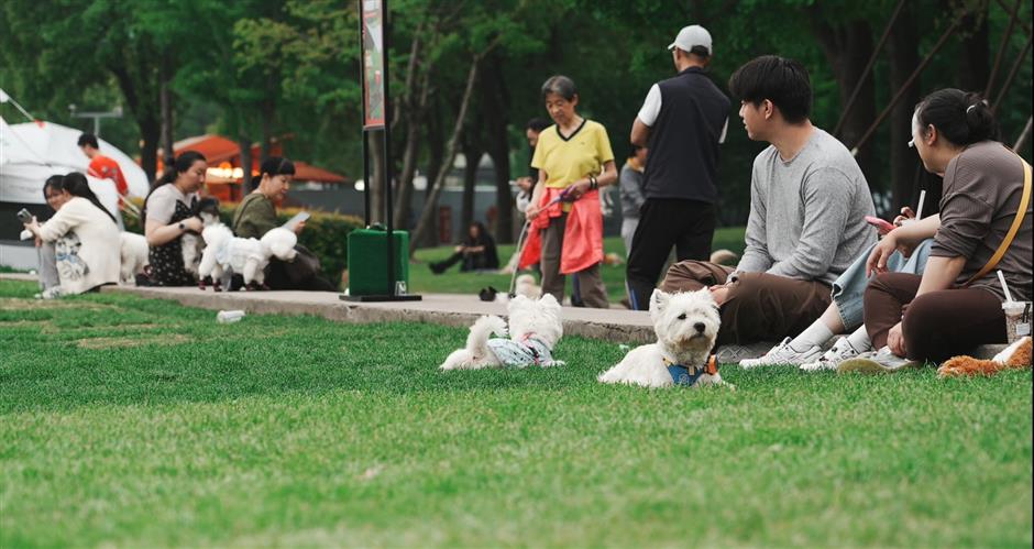 [A City for All] Paws in the City: How Shanghai Is Redefining Pet-Friendly Urban Life