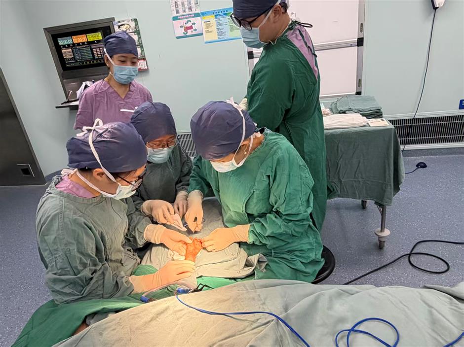 [Expats & Ailments] Mongolian Child With Rare Disease Treated in Shanghai