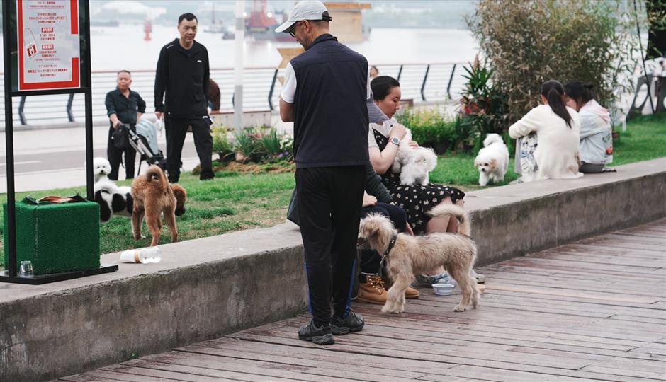 [A City for All] Paws in the City: How Shanghai Is Redefining Pet-Friendly Urban Life
