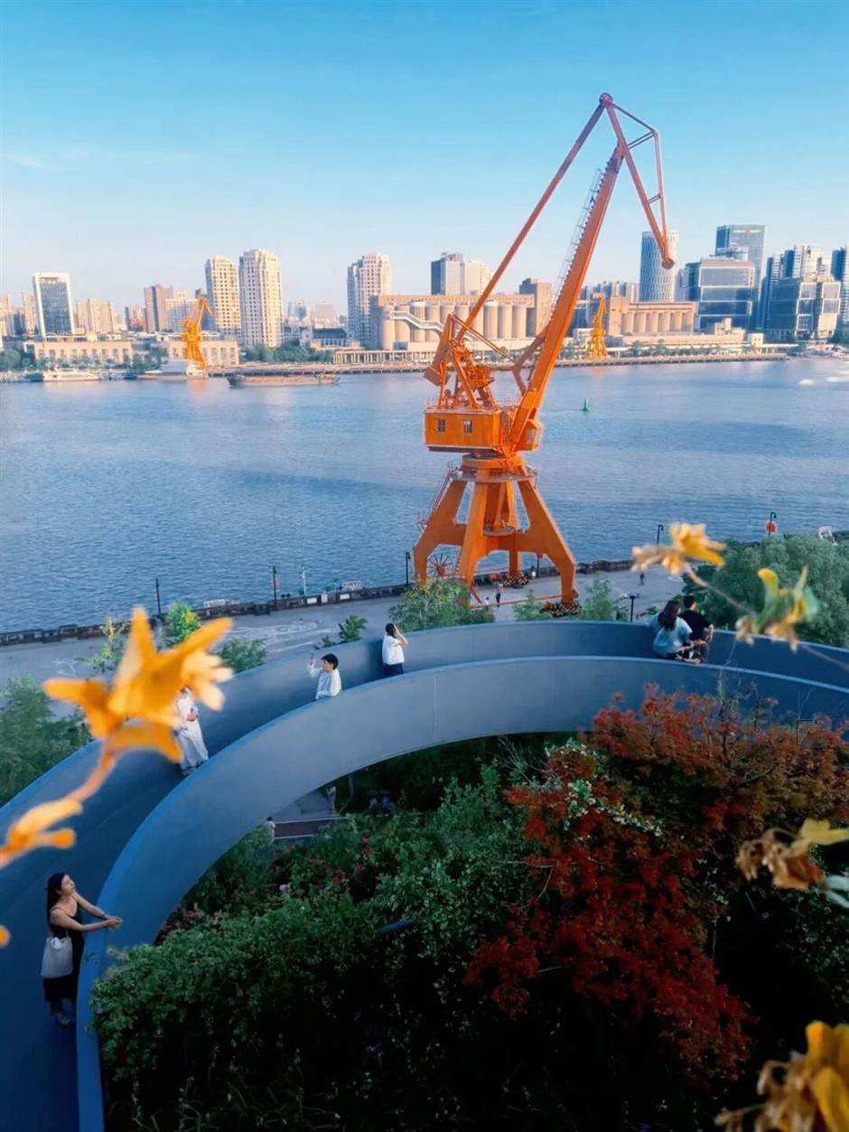 花开如瀑!就在黄浦江边的这座空中花园
