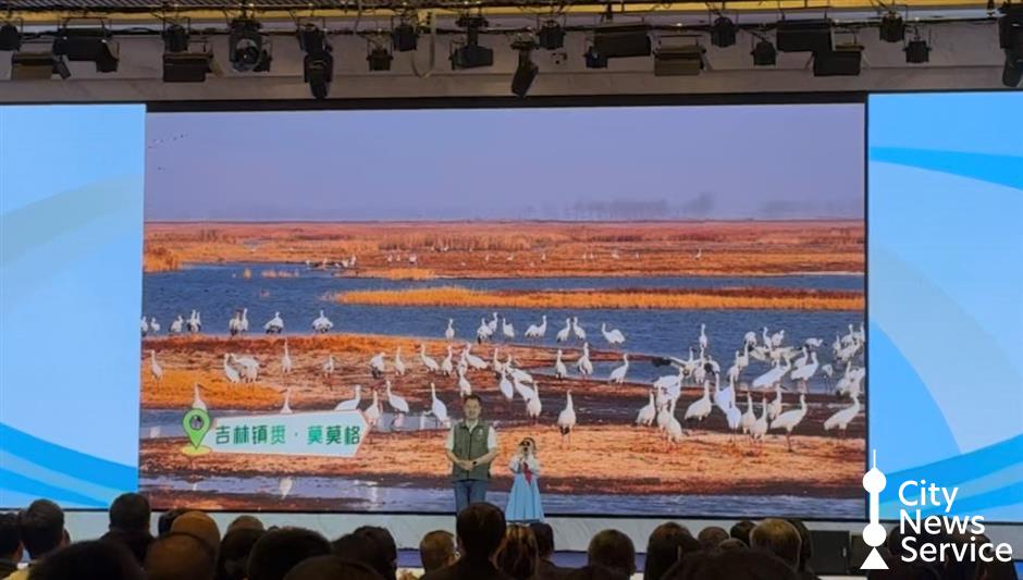 Chongming Island Showcases China's Green Future