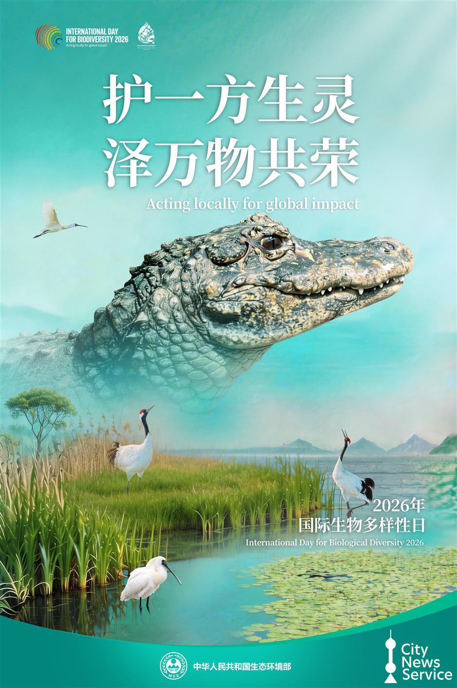 Chongming Island Showcases China's Green Future
