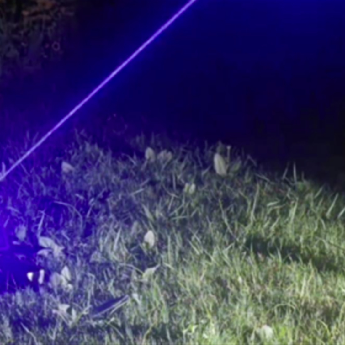 Chinese AI Laser Mosquito Killer Raises Over US$2.5m After Viral TikTok Video