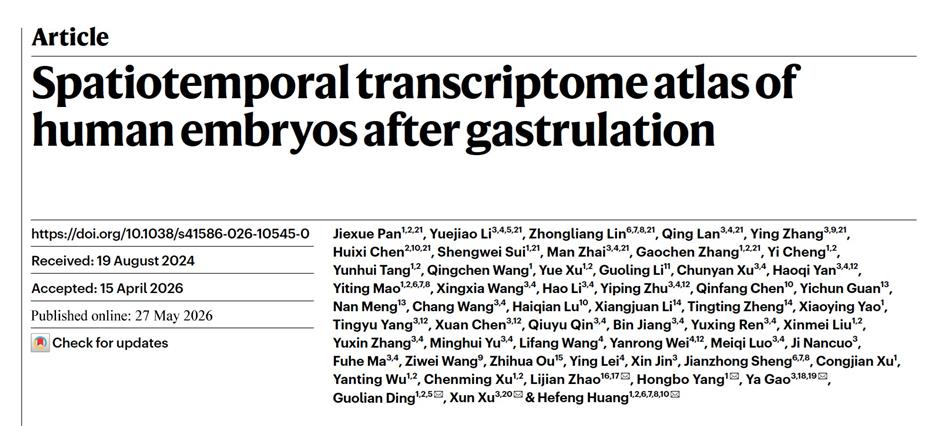 [China Tech] Local Experts Discover Early Fetal Development