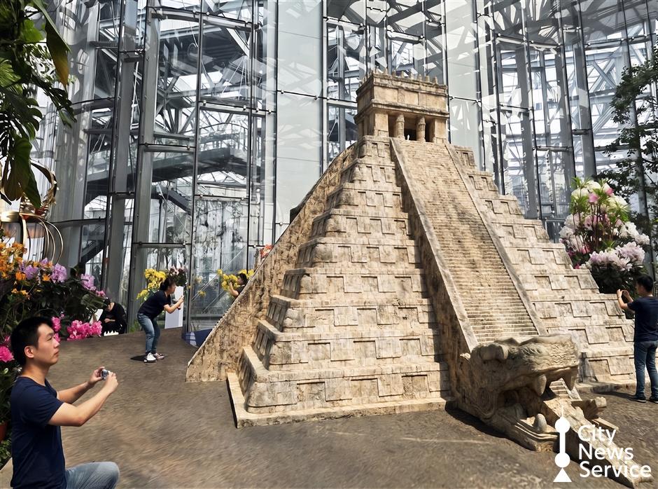Plants of the Americas Show: Ancient Civilizations and Botanical Displays