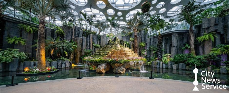Plants of the Americas Show: Ancient Civilizations and Botanical Displays