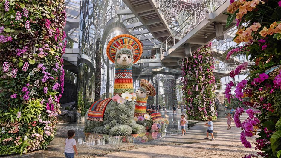 Plants of the Americas Show: Ancient Civilizations and Botanical Displays