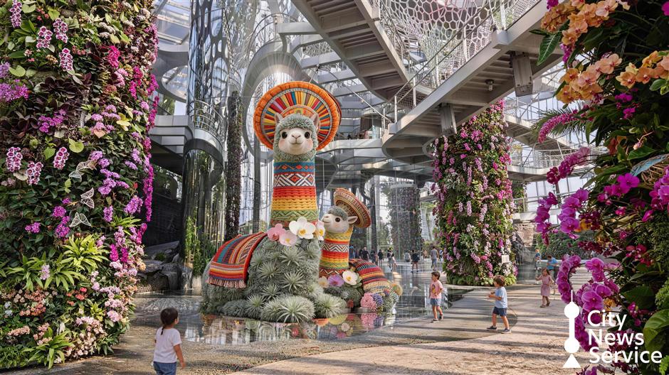 Plants of the Americas Show: Ancient Civilizations and Botanical Displays