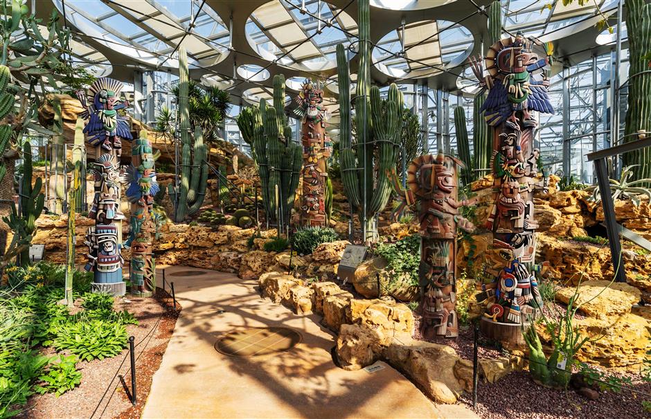 Plants of the Americas Show: Ancient Civilizations and Botanical Displays