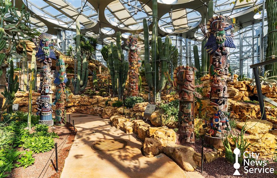 Plants of the Americas Show: Ancient Civilizations and Botanical Displays