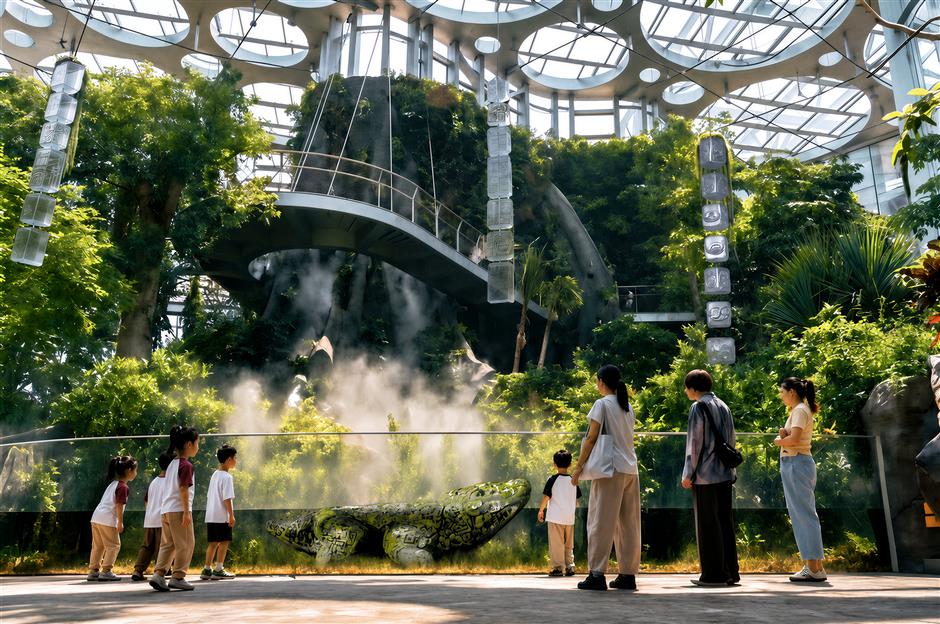 Plants of the Americas Show: Ancient Civilizations and Botanical Displays