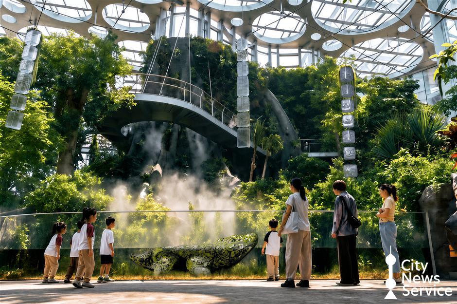 Plants of the Americas Show: Ancient Civilizations and Botanical Displays