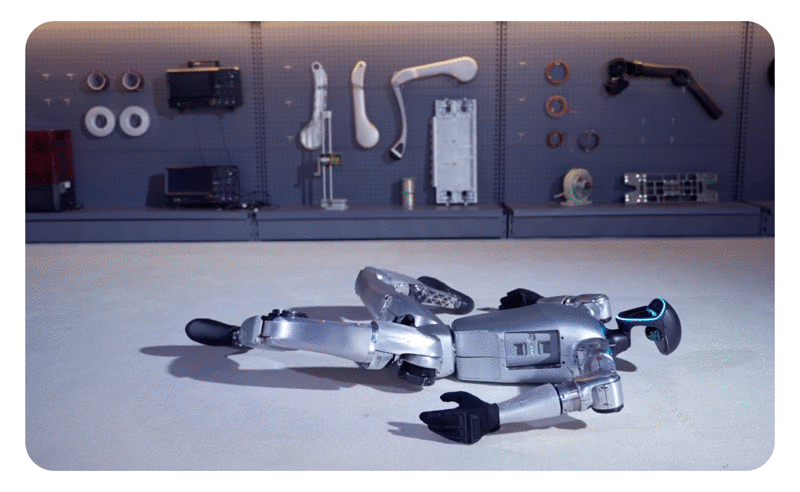 [First in SH] Unitree Robotics, Lindt & Rains in Shanghai w/New Flagships