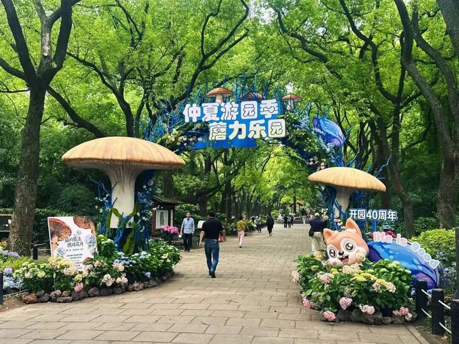 Life is G (菇) ood!共青仲夏游园季浪漫上线