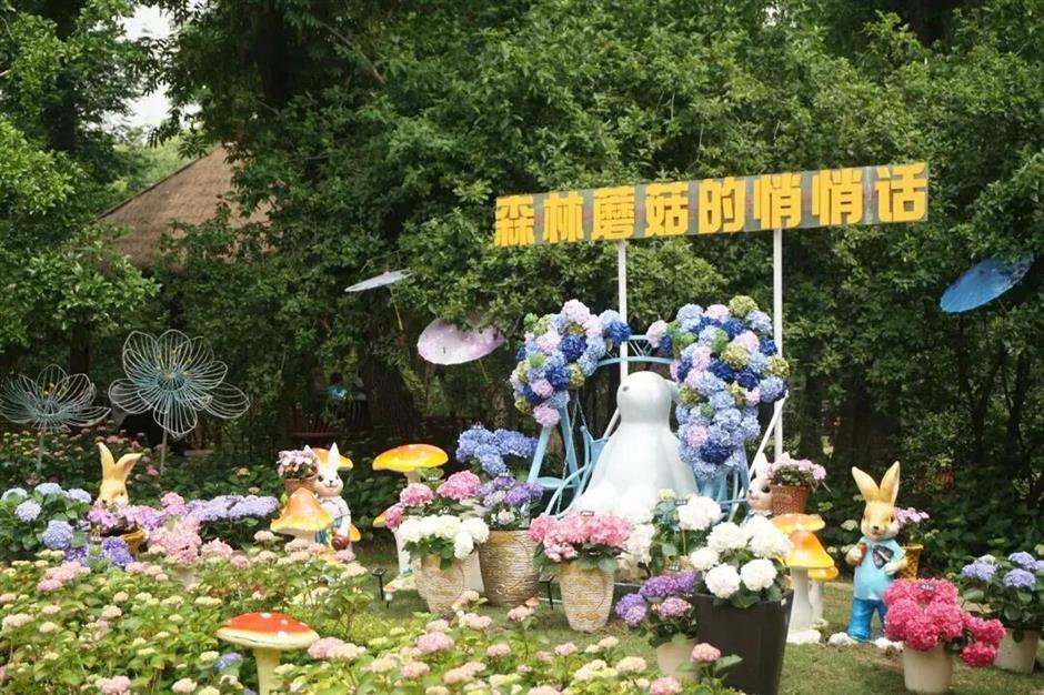 Life is G (菇) ood!共青仲夏游园季浪漫上线