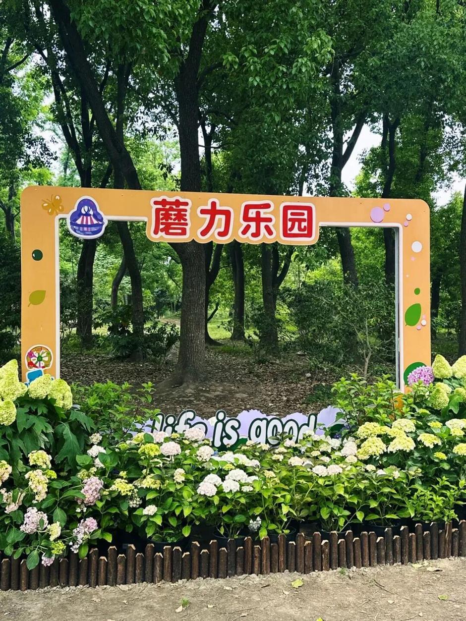 Life is G (菇) ood!共青仲夏游园季浪漫上线