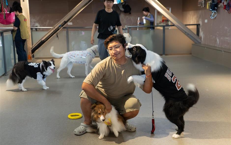 上海に「犬の幼稚園」誕生　愛犬の社会性を育む新しいライフスタイルとは