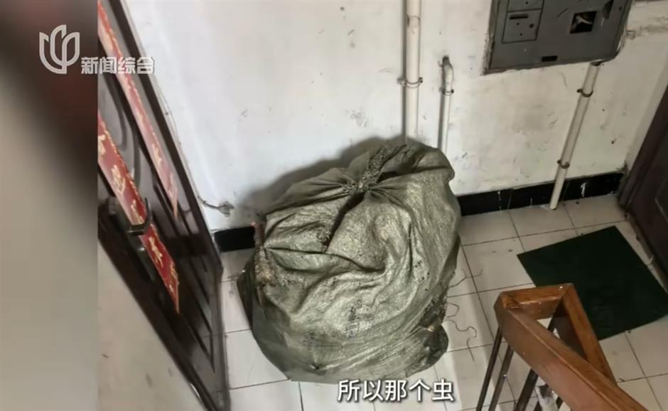 Mother-Daughter Duo Evicted After Trash-Filled Shanghai Apartment Draws Roaches