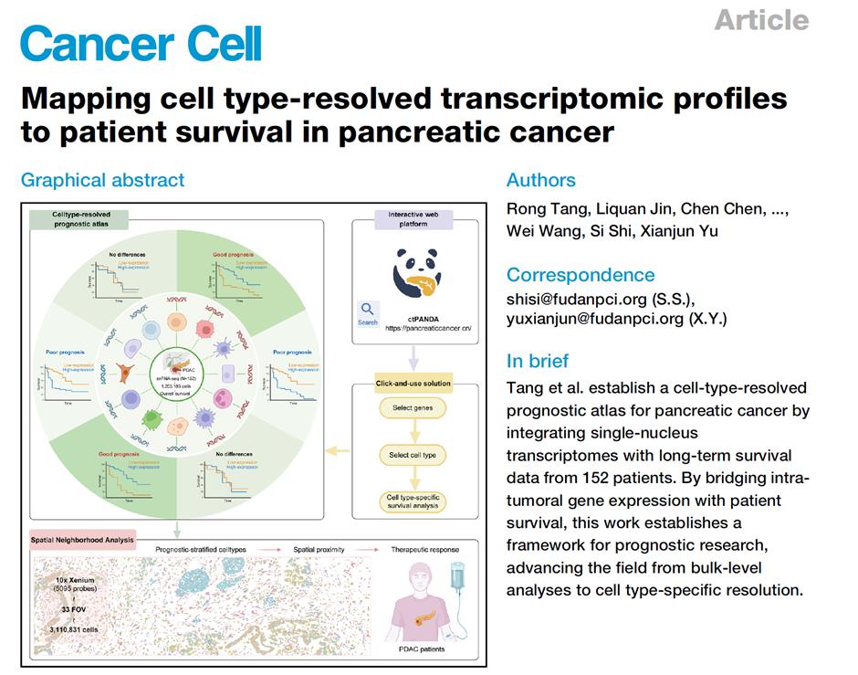 [China Tech] Unraveling Drug Resistance & Prognostic Codes for the 'King of Cancers'