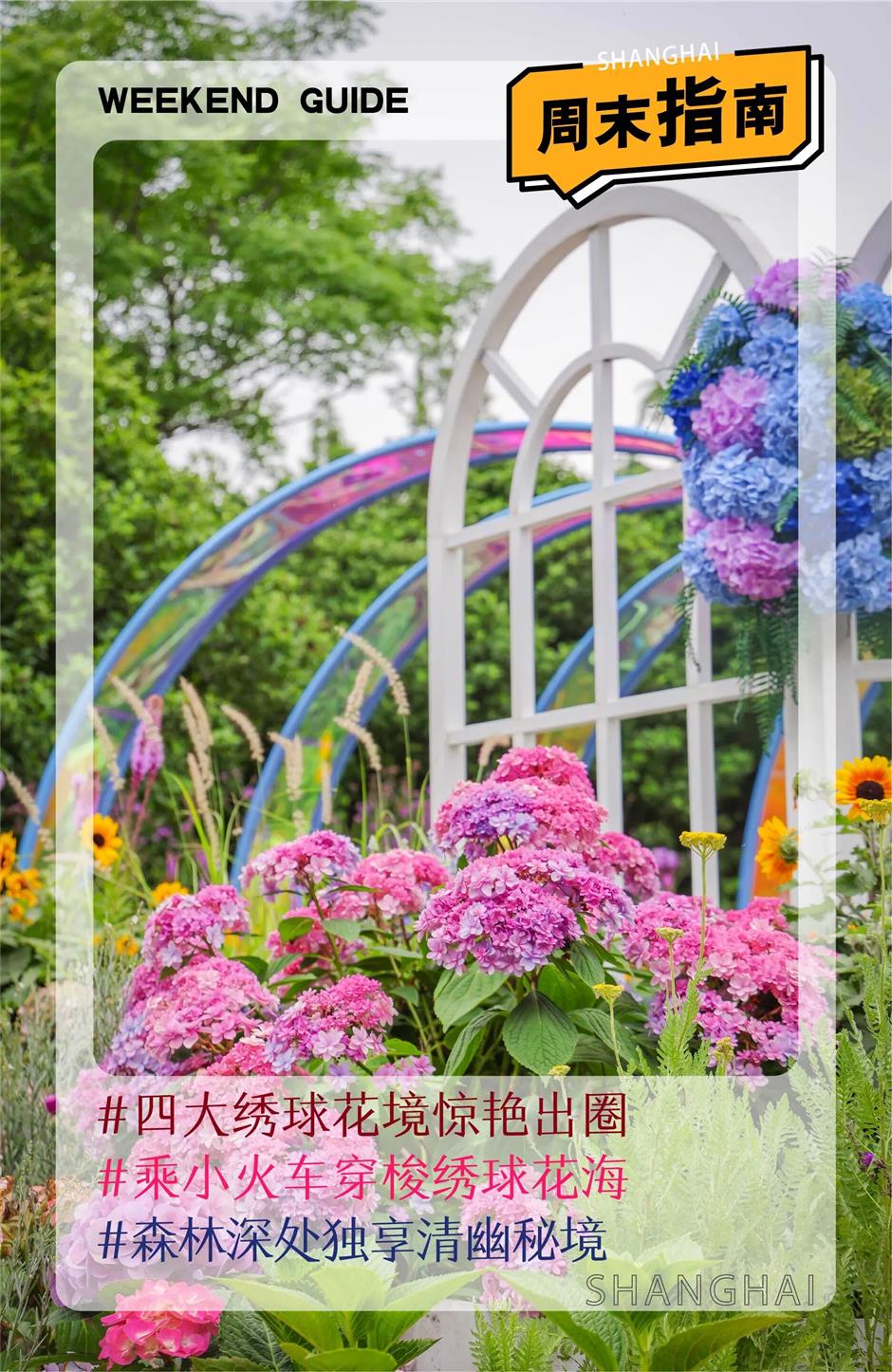 绣球花海梦幻绽放!这个公园免费打卡机位快收藏→