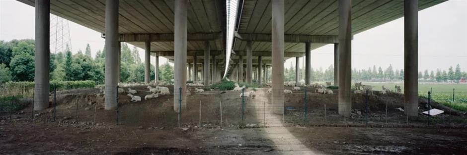 Following the Huangpu: New Solo Exhibition Reveals a City in Motion