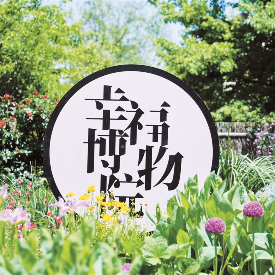 Zhuanqiao Town Gets The Happiness Museum