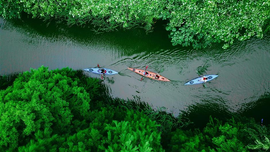 Cool Feast for Vacationers as Qingpu Launches Summer Tourism Campaign