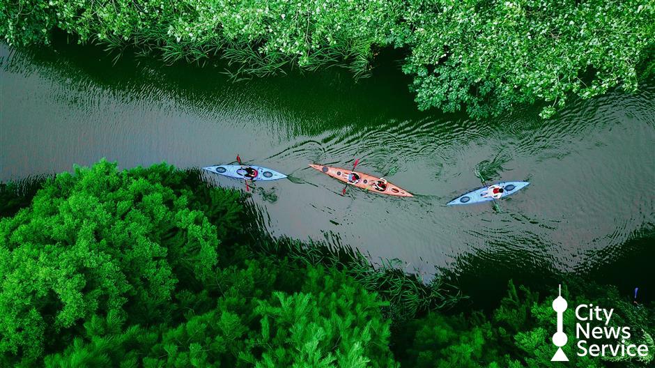 Cool Feast for Vacationers as Qingpu Launches Summer Tourism Campaign