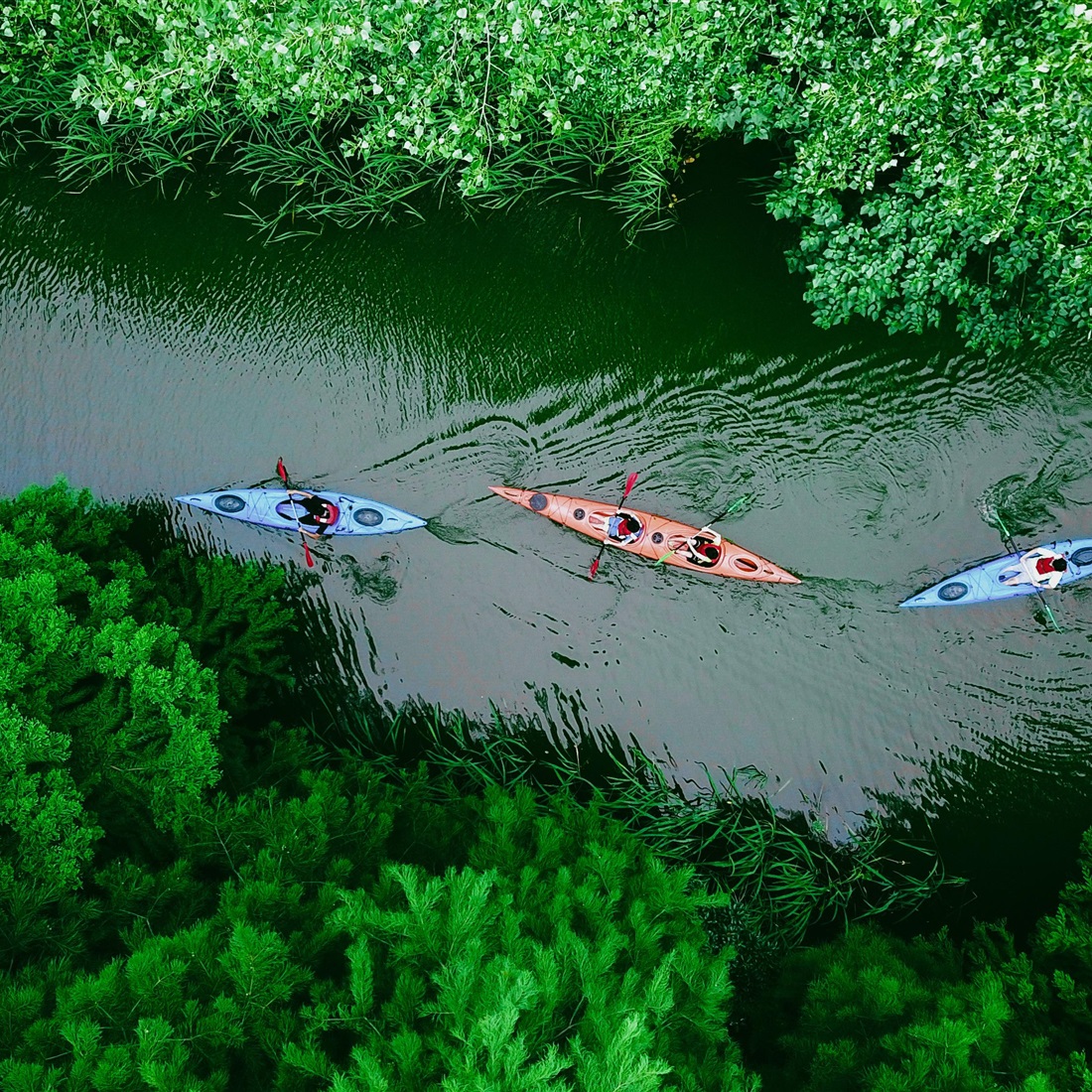 Cool Feast for Vacationers as Qingpu Launches Summer Tourism Campaign