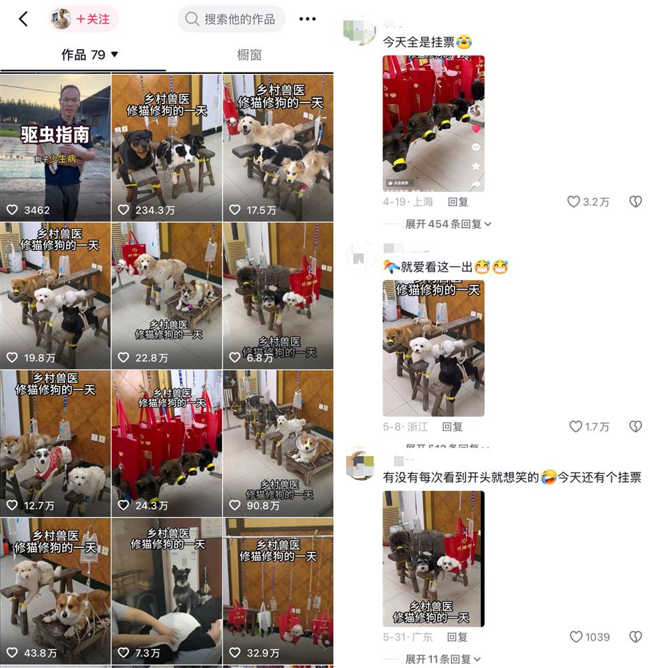 Former Military Dog Handler Becomes China's 'Miracle Vet' by Charging Almost Nothing
