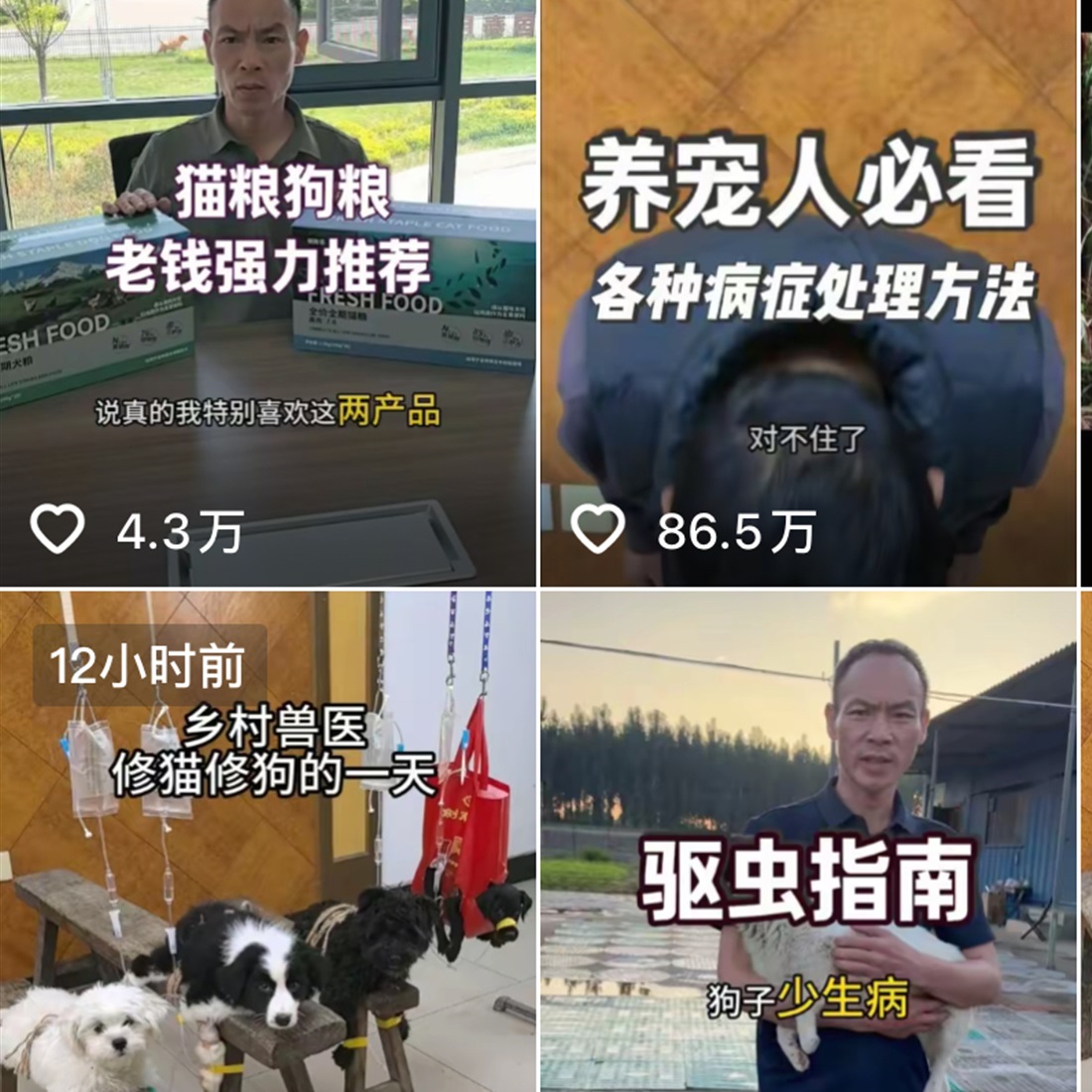 Former Military Dog Handler Becomes China's 'Miracle Vet' by Charging Almost Nothing