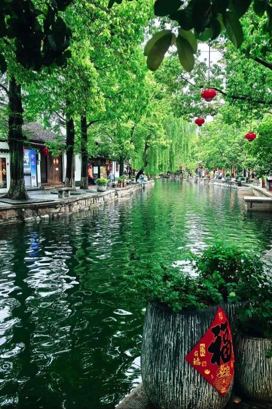 这个端午,朱家角古镇悄悄变了样?99%的人还不知道!