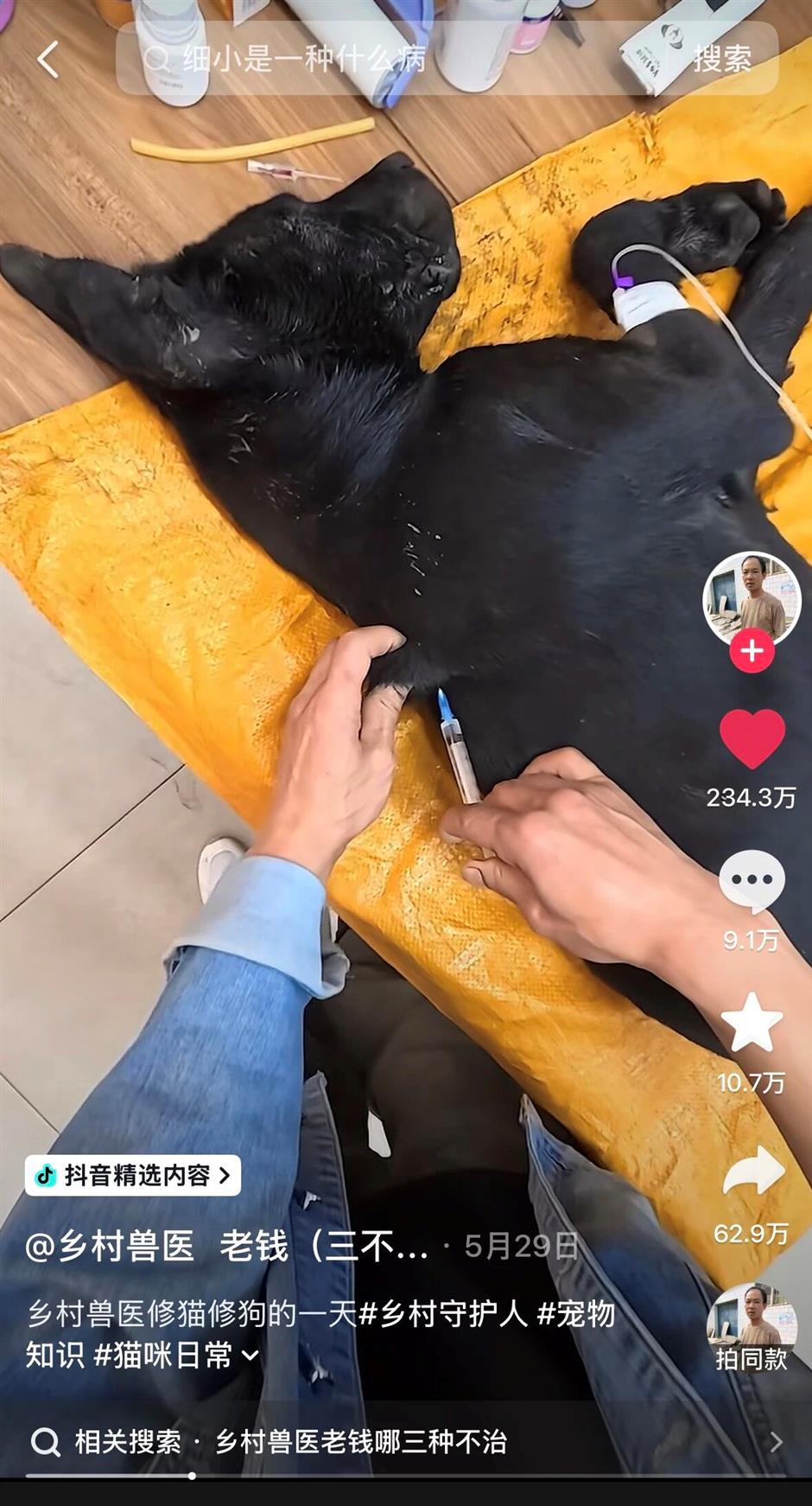 Former Military Dog Handler Becomes China's 'Miracle Vet' by Charging Almost Nothing