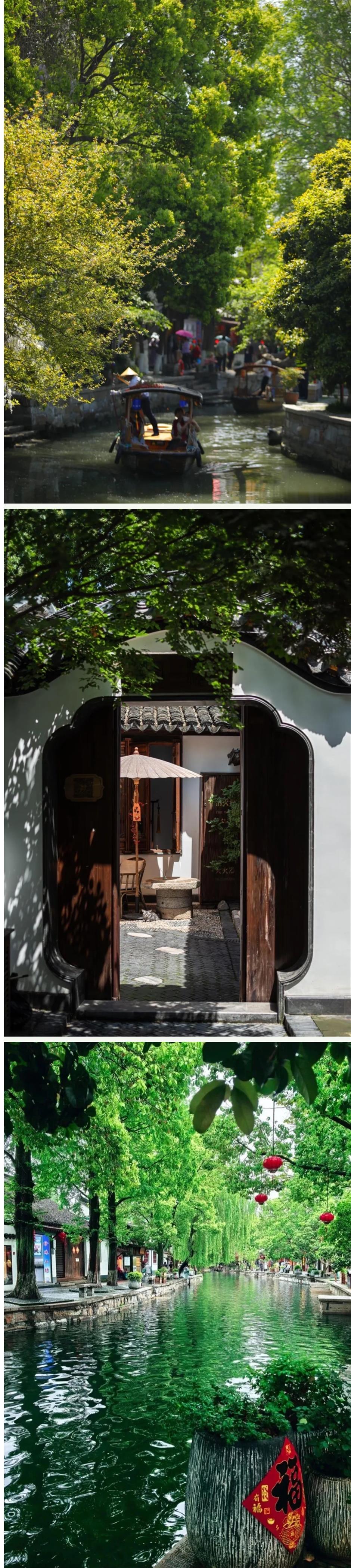 没想到,上海端午这么好逛!市集、古镇、非遗、花海大盘点|乐游上海·端午