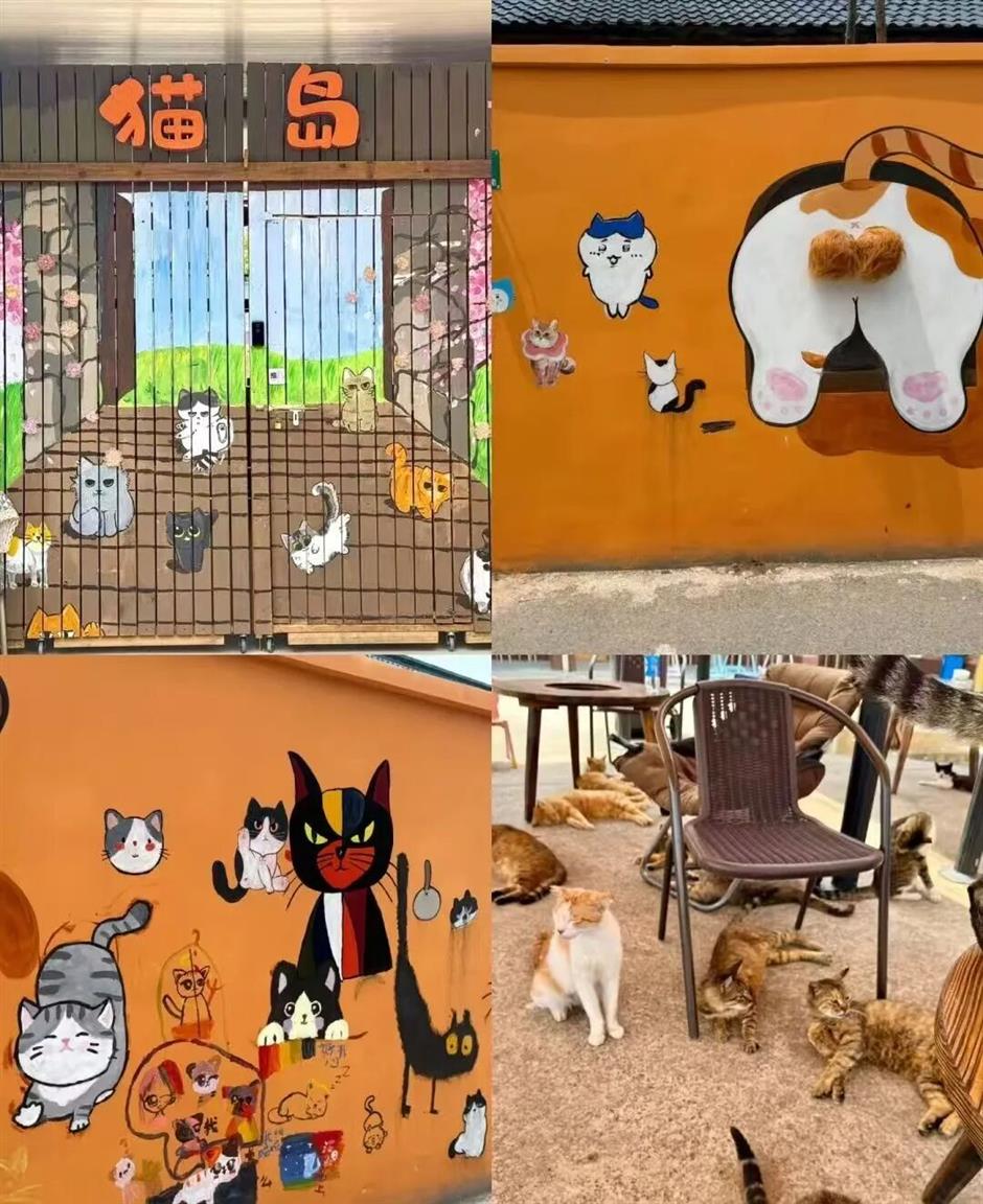 寻