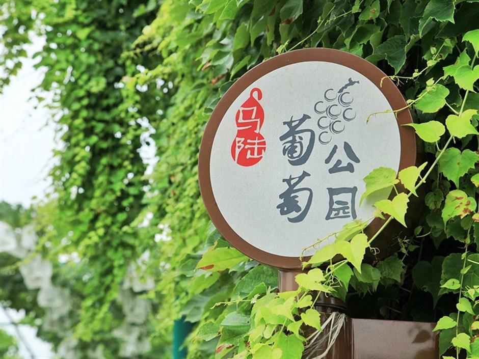 寻