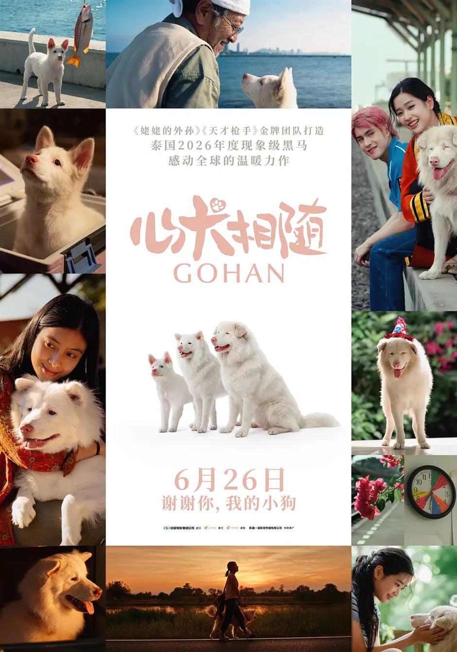 Thailand's Top-Grossing Film 'Gohan' Set for China Release After SIFF Showcase
