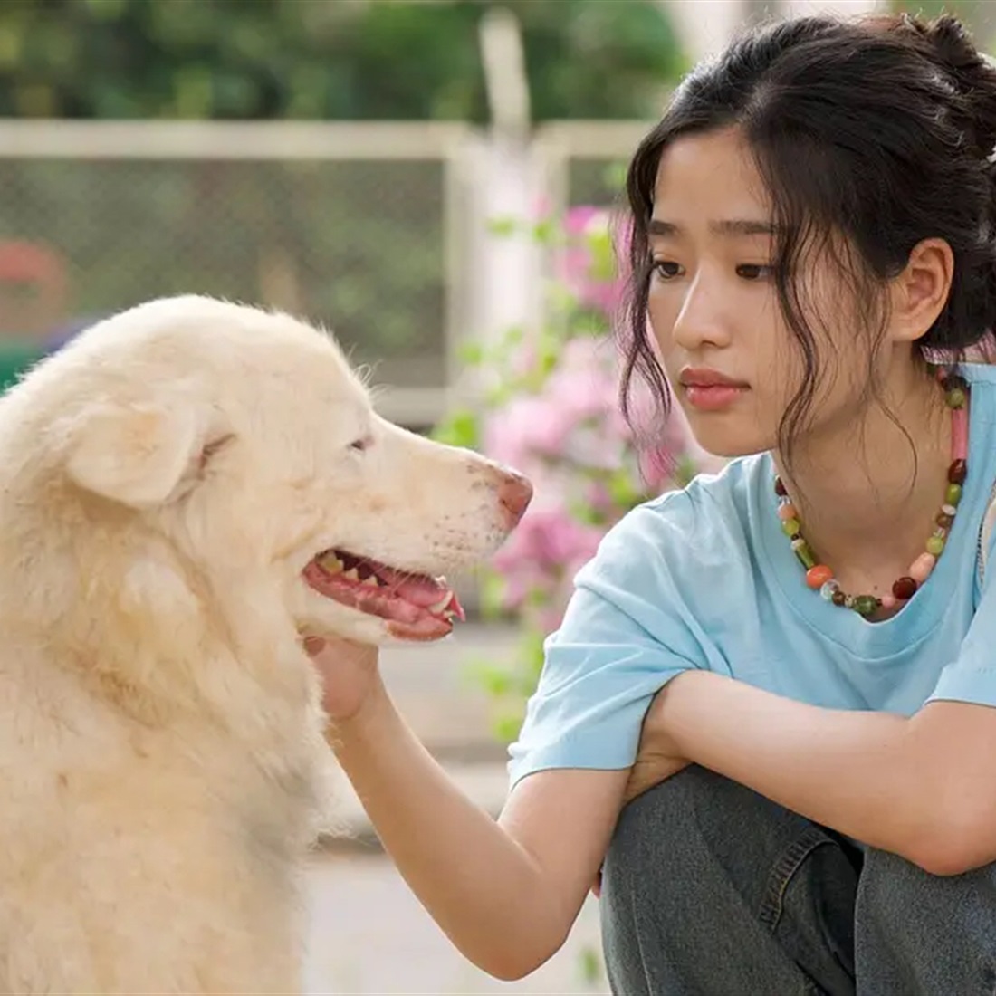 Thailand's Top-Grossing Film 'Gohan' Set for China Release After SIFF Showcase