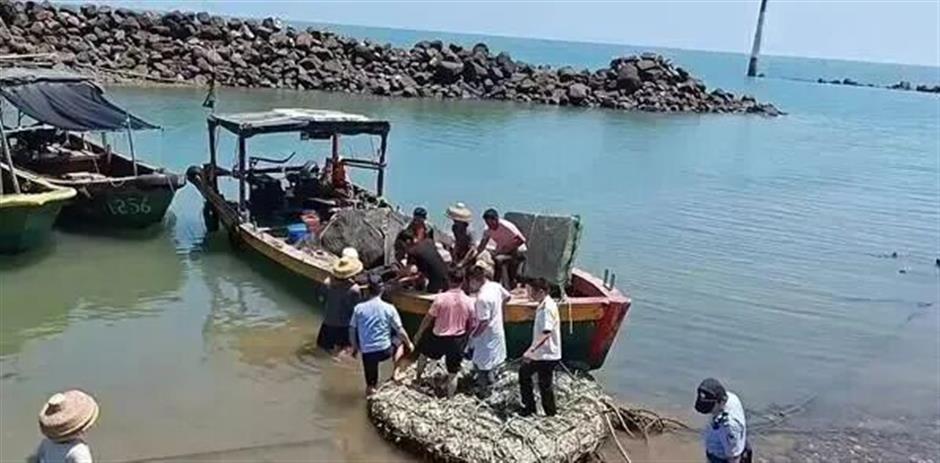 Chinese Businessman Survives 6 Days Adrift at Sea After Slipping on Fruit Peel