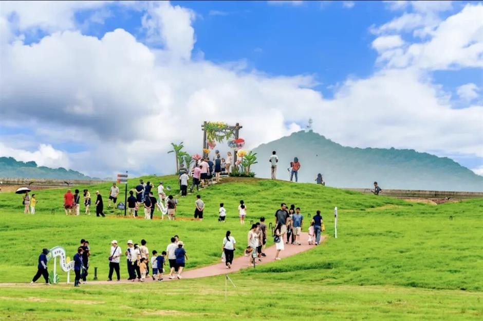 上海新晋治愈秘境!56万㎡滨海大