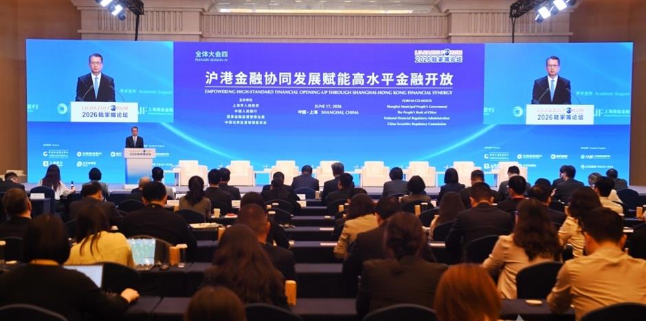 'Twin Stars' of Finance: Hong Kong, Shanghai Celebrate Closer Union