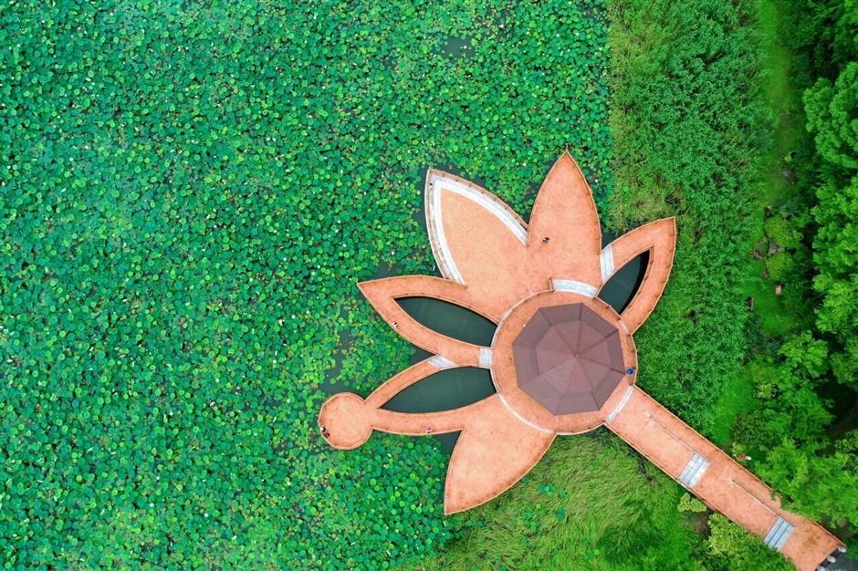 2026上海旅游节暑期旅游季7月8日启幕!170项活动,六大主题周上线