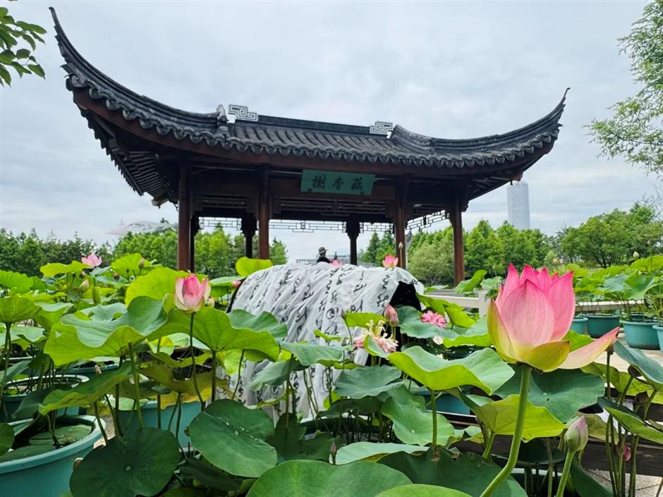 2026上海旅游节暑期旅游季7月8日启幕!170项活动,六大主题周上线
