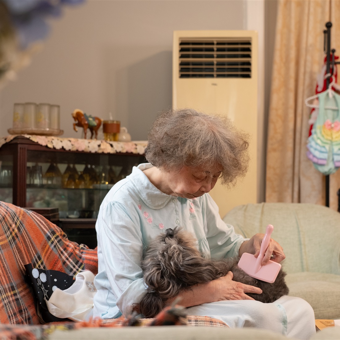 At 78, Shanghai Grandma Stitches Haute Couture for Pets – and Stays Young at Heart