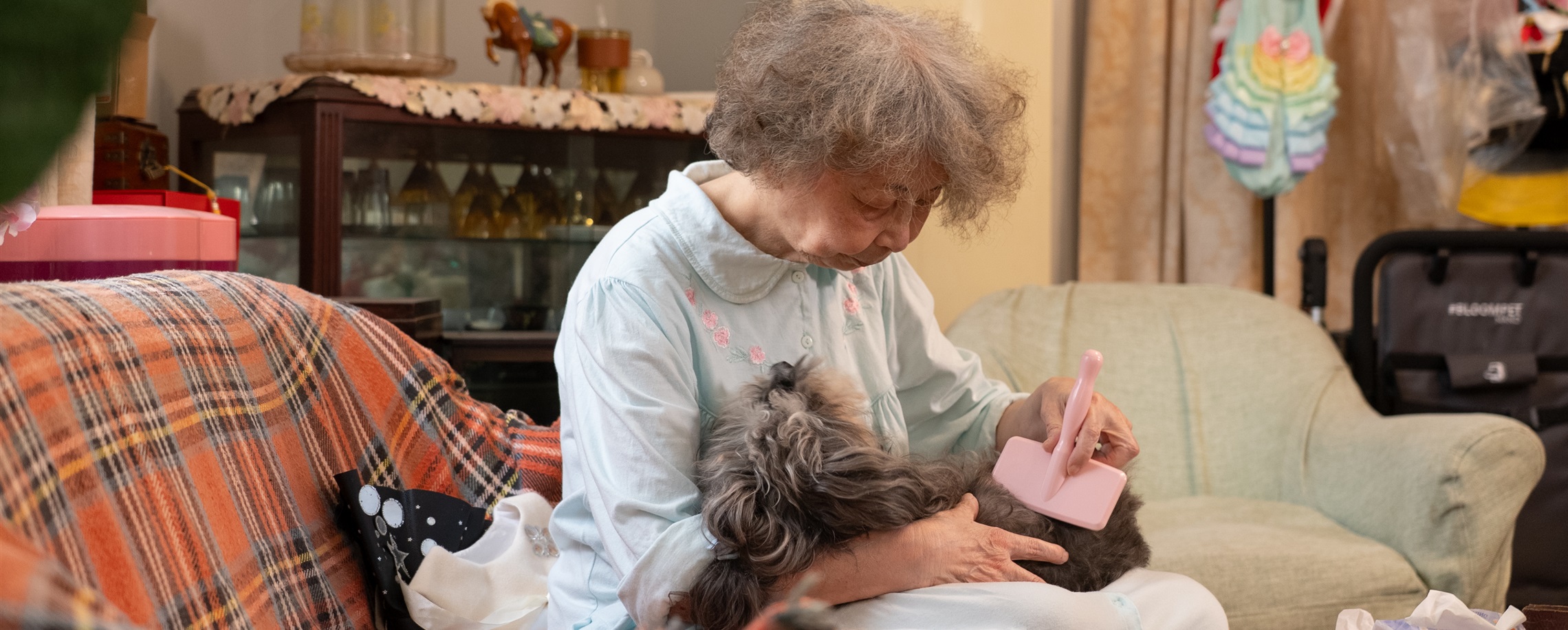 At 78, Shanghai Grandma Stitches Haute Couture for Pets – and Stays Young at Heart
