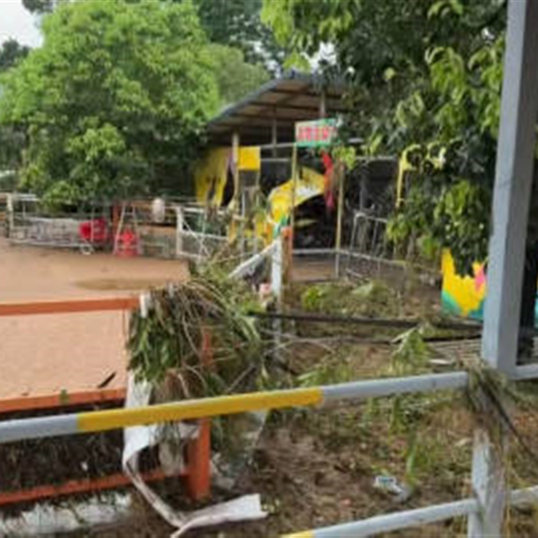 Flood Sweeps Away 100 Animals at South China Zoo, Killing 3 Lions
